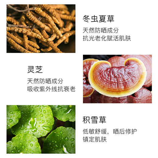 韩国Shangpree香蒲丽防晒霜焕采植物精华防晒霜60ml（有效期2025年1月至2025年5月随机） 商品图1