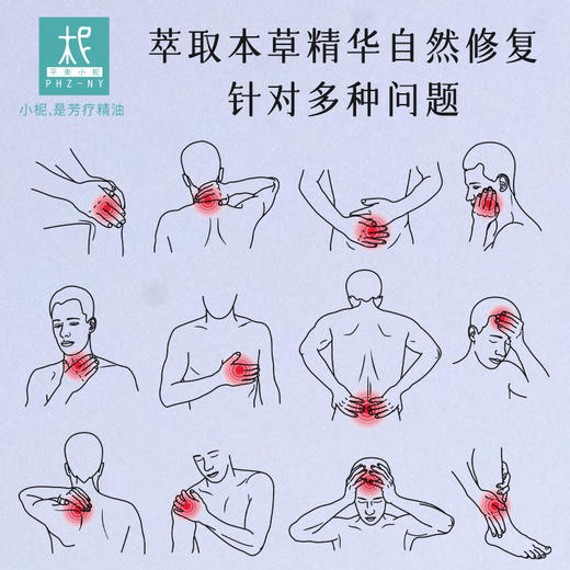 108 腰腿部舒缓按摩油 108种本草  散风油 商品图2