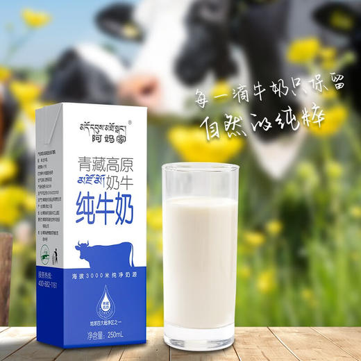 阿妈家纯奶砖250毫升*12盒/箱 商品图3