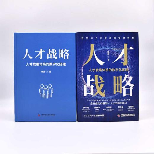 人才战略 人才发展体系的数字化搭建  商品图1