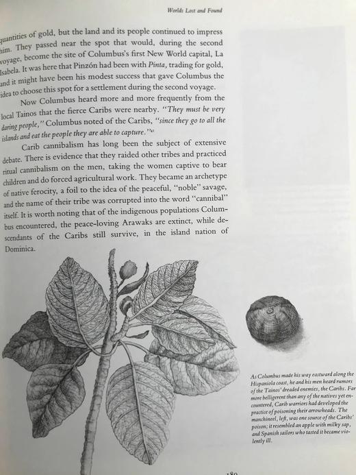 哥伦布与大发现时代（馆藏裸书） 数百幅插图 精装16开 商品图8