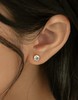 Oflye潮流饰品 银针锆石耳钉圆形女精致高级感小巧耳环新款百搭饰品 商品缩略图1