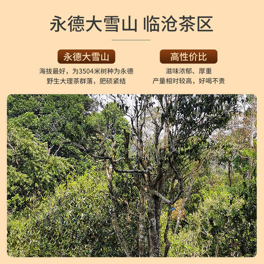 祥源茶普洱七年茶砖临沧生茶茶砖250g【2015年原料】 商品图1