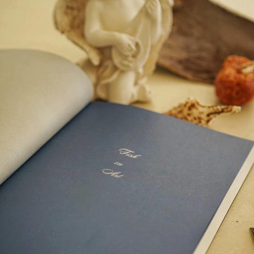 艺术中的鱼和文明史  商务印书馆 商品图5