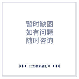 P100 2023 电机4°斜垫片