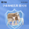【社群专享】华畜兽药羟氯扎胺混悬液100ml牛羊肝片吸虫孕畜哺乳期可用 商品缩略图4