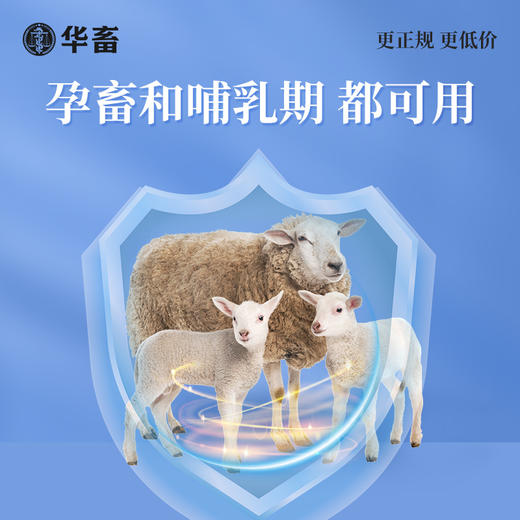 【社群专享】华畜兽药羟氯扎胺混悬液100ml牛羊肝片吸虫孕畜哺乳期可用 商品图4