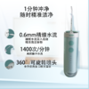 【飞利浦】伸缩便携式水牙线HX3331/02不焦绿 商品缩略图3