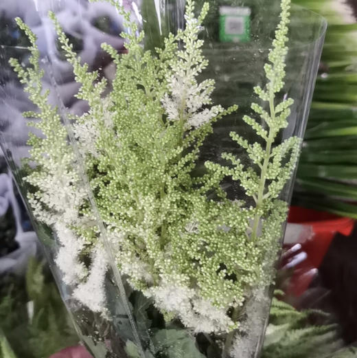 络新妇.白色 商品图4