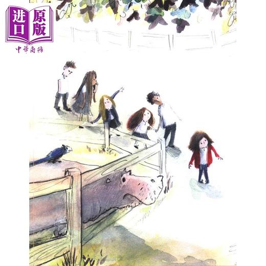 【中商原版】What Clara Saw 克拉拉看到了什么 英文原版 进口图书 儿童绘本 动物故事图画书 3-6岁儿童读物 百科知识图书 商品图4