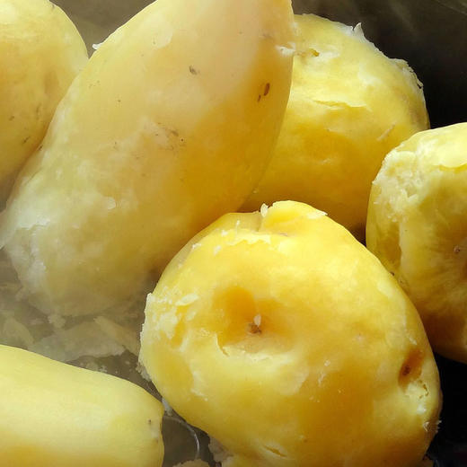 【包邮装】农家沙地土豆  水源地种植  粉糯清香  沙面皮薄   绵软细腻  3斤 商品图2