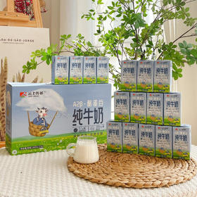 云上传祁A2酪蛋白160毫升*16盒