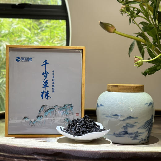 中国红茶｜【千岁单株】千年野生古树单株红茶，江山如此多娇瓷罐装，珍稀古树绝代风华，乌润肥美兰香蜜韵气韵荡漾心田～汤色金黄明亮，滋味鲜醇甜爽，暖心愉悦，活色生香，怡然自得…净含量100g*1盒 商品图0