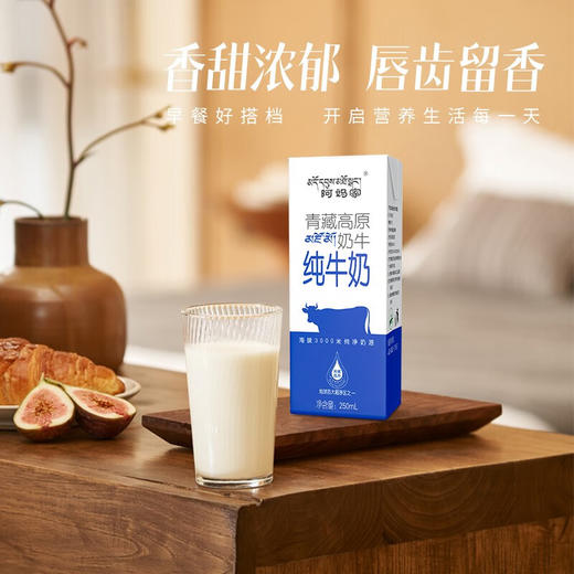 阿妈家纯奶砖250毫升*12盒/箱 商品图0