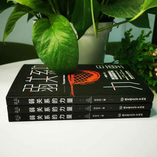 弱关系的力量  何宏非 商品图1