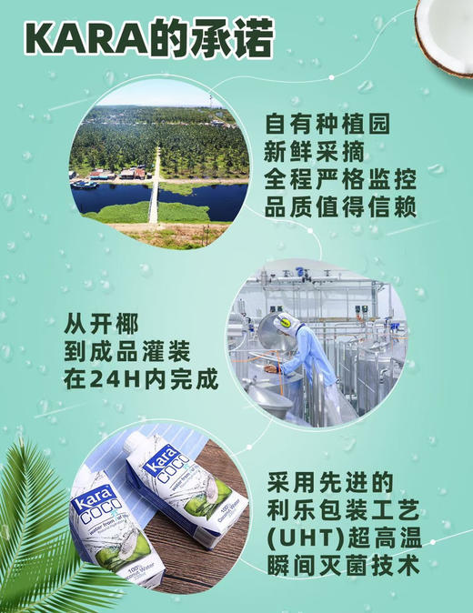 KARA牌椰子水330ml 商品图3