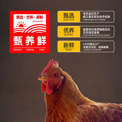 阿飞和巴弟E76全价猫粮全期冻干无谷猫粮增肥发腮 2kg 商品图2