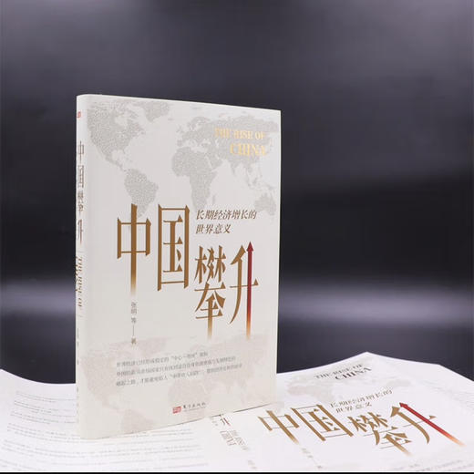 中国攀升:长期经济增长的世界意义 商品图3