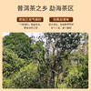 祥源茶普洱生茶 千里江山勐海核心产区357g【2013年原料】 商品缩略图3
