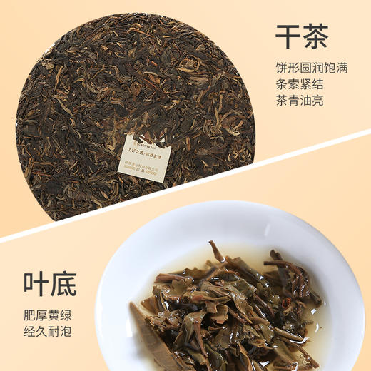 祥源茶普洱生茶 千里江山勐海核心产区357g【2013年原料】 商品图1