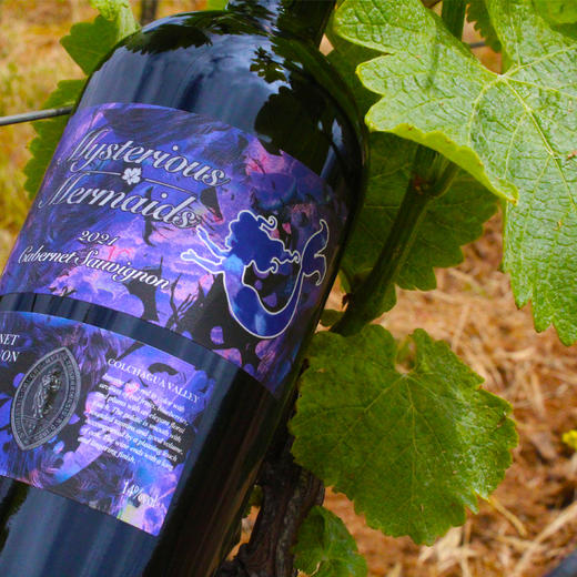 神秘美人鱼珍藏赤霞珠红葡萄酒 750ml 智利原瓶进口 商品图1