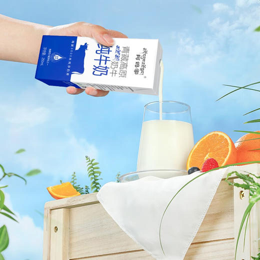 阿妈家纯奶砖250毫升*12盒/箱 商品图1