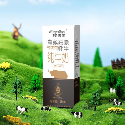 阿妈家牦牛砖250ml*10盒/箱 商品图2