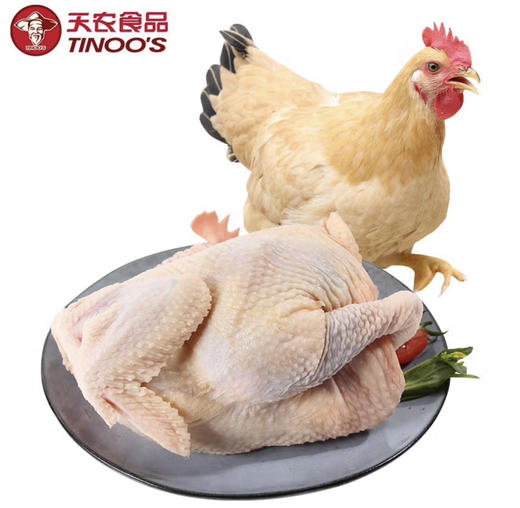 天农 清远童子鸡600g 散养土鸡走地鸡整鸡肉 烤鸡清蒸生鲜食材 商品图0