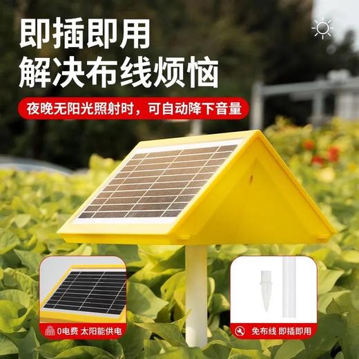 双板太阳能（不含卡） 商品图1