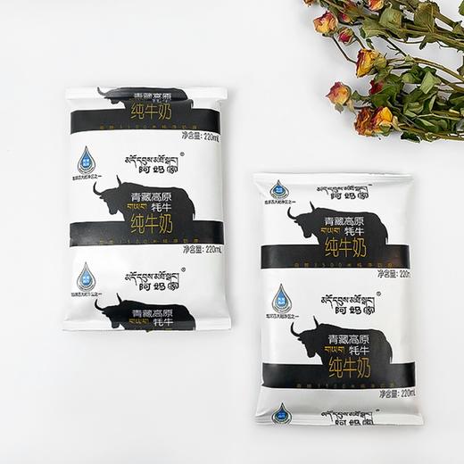 阿妈家牦牛奶220ml*16袋/箱 商品图6