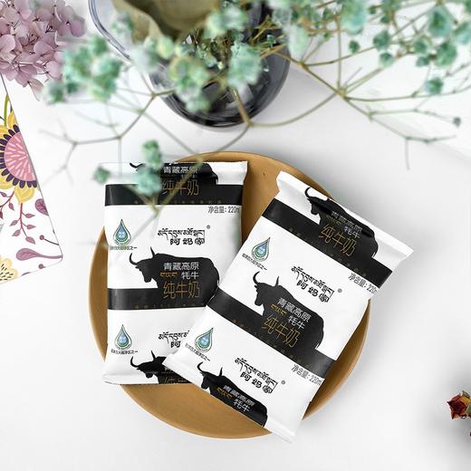 阿妈家牦牛奶220ml*16袋/箱 商品图5