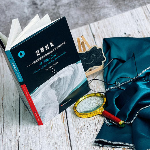 荒野时光 一位地质学家来自格陵兰冰原边缘的手记 威廉·E.格拉斯利 著 科普读物 商品图2