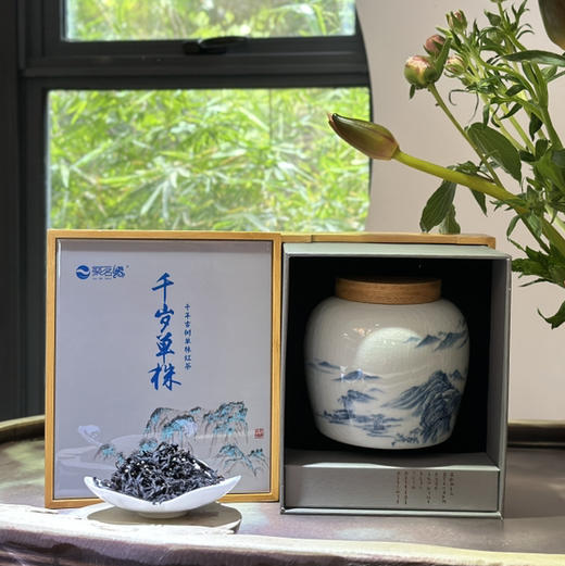 中国红茶｜【千岁单株】千年野生古树单株红茶，江山如此多娇瓷罐装，珍稀古树绝代风华，乌润肥美兰香蜜韵气韵荡漾心田～汤色金黄明亮，滋味鲜醇甜爽，暖心愉悦，活色生香，怡然自得…净含量100g*1盒 商品图1