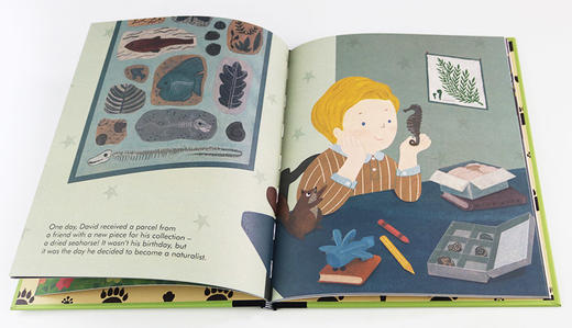 英文原版 Little People  Big Dreams David Attenborough 小男孩大梦想 大卫爱登堡 英文版 商品图2