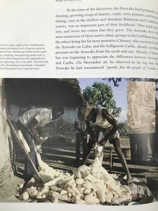 哥伦布与大发现时代（馆藏裸书） 数百幅插图 精装16开 商品图10