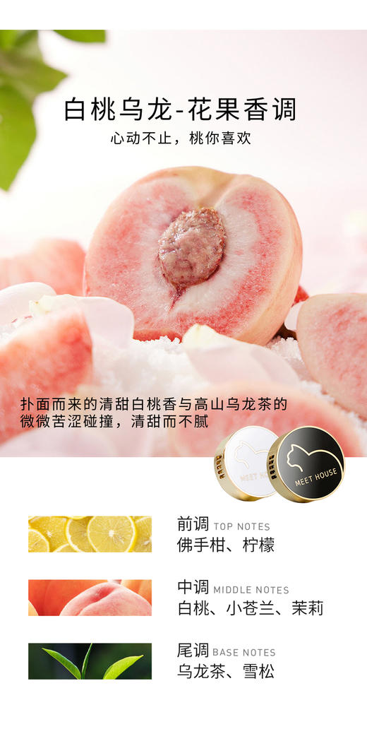 【新品上新】经典车载香薰补充香薰片（不含扩香器） 商品图4