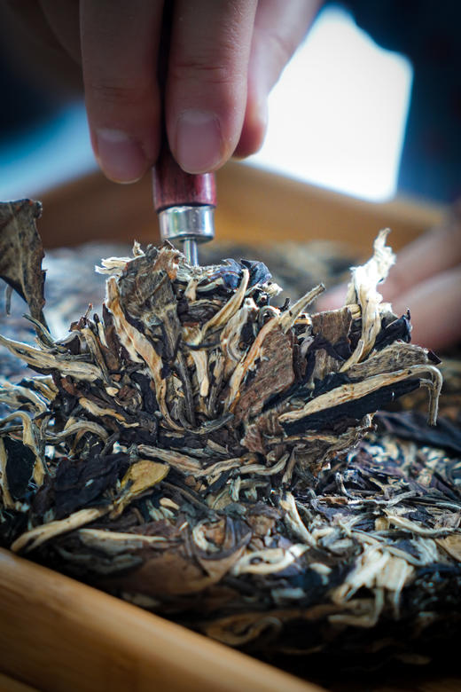 【古树荒野牡丹】让人眼前一亮的滋味 商品图6