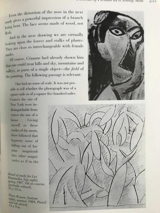 年轻毕加索画集 数百幅插图 精装18开 商品图14