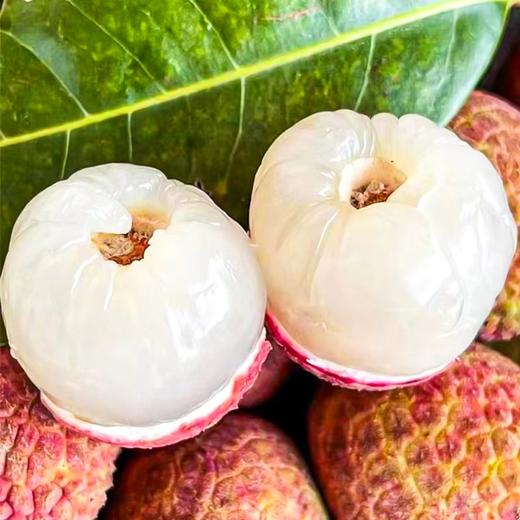 桂花香荔枝 约500g/份 商品图3