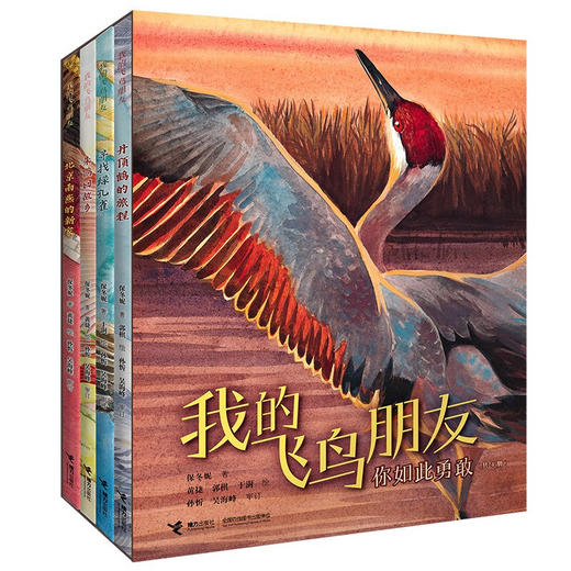 我的飞鸟朋友 商品图0