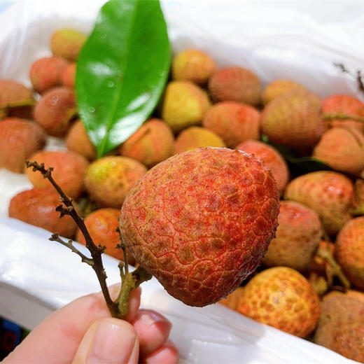 桂花香荔枝 约500g/份 商品图2