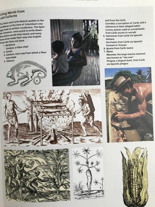 哥伦布与大发现时代（馆藏裸书） 数百幅插图 精装16开 商品图14