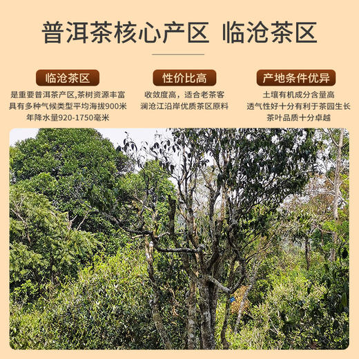 祥源茶普洱生茶临沧大树拼配原料2014年八年临沧普洱357g 商品图1