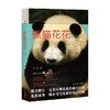 熊猫花花 蒋林 著 文学 商品缩略图0