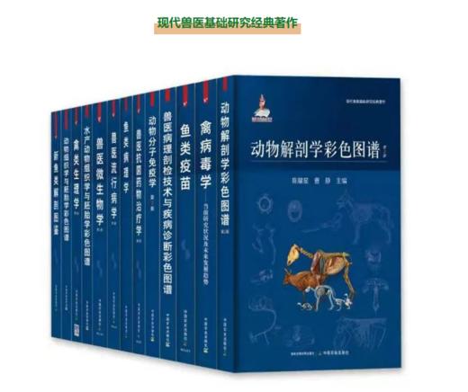 现代兽医基础研究经典著作【中国农业出版社官方正版】 商品图0