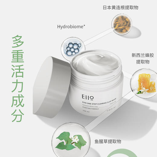 奕沃清润净肤多效清洁泥膜100ml 商品图2