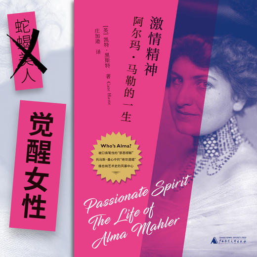 激情精神：阿尔玛·马勒的一生 商品图1