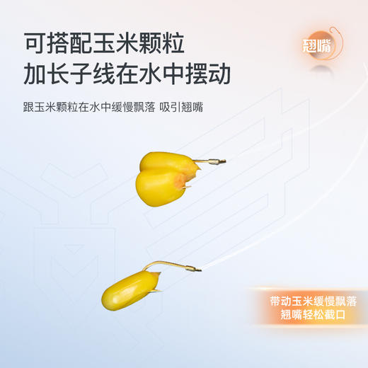 佳钓尼专用翘嘴子线双钩8付装 商品图3