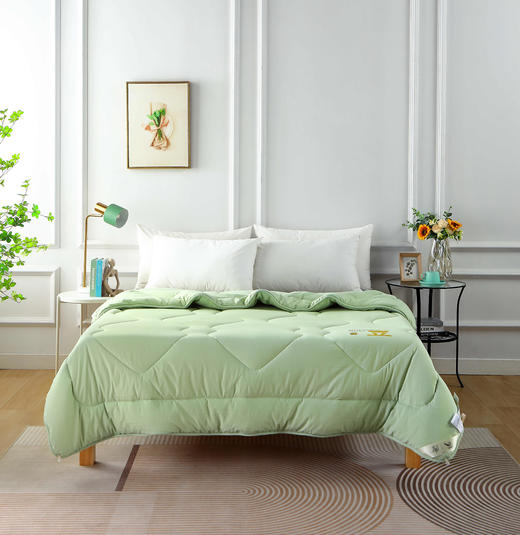 【远梦】云柔亲肤大豆四季被 商品图0