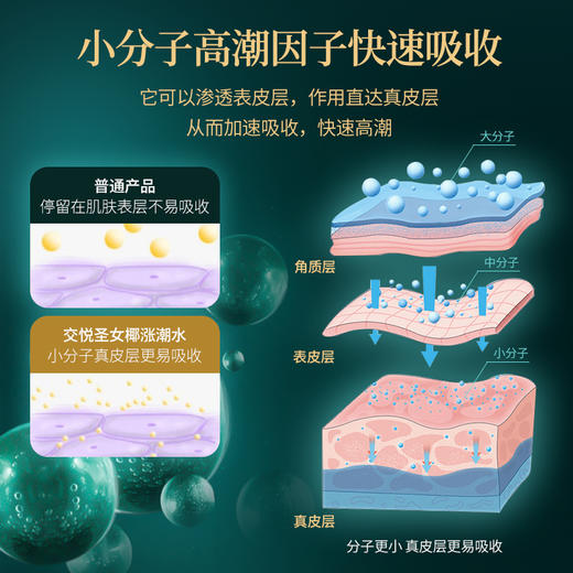 交悦 四代涨潮水（圣女椰仰蔨版15ml） 商品图3